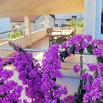 Stoja Zadar